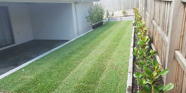 Instant Lawn Installation